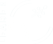 Ontdek Zwartewaterland - Leader