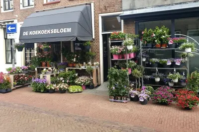 De Koekoeksbloem