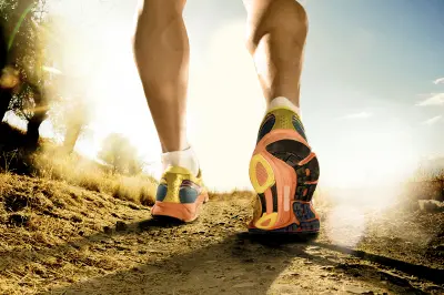 Sponsorwandeltocht Zwartewaterland