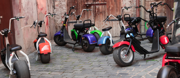 Dwars door Zwartewaterland en De Wieden!