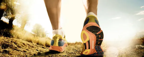 Sponsorwandeltocht Zwartewaterland